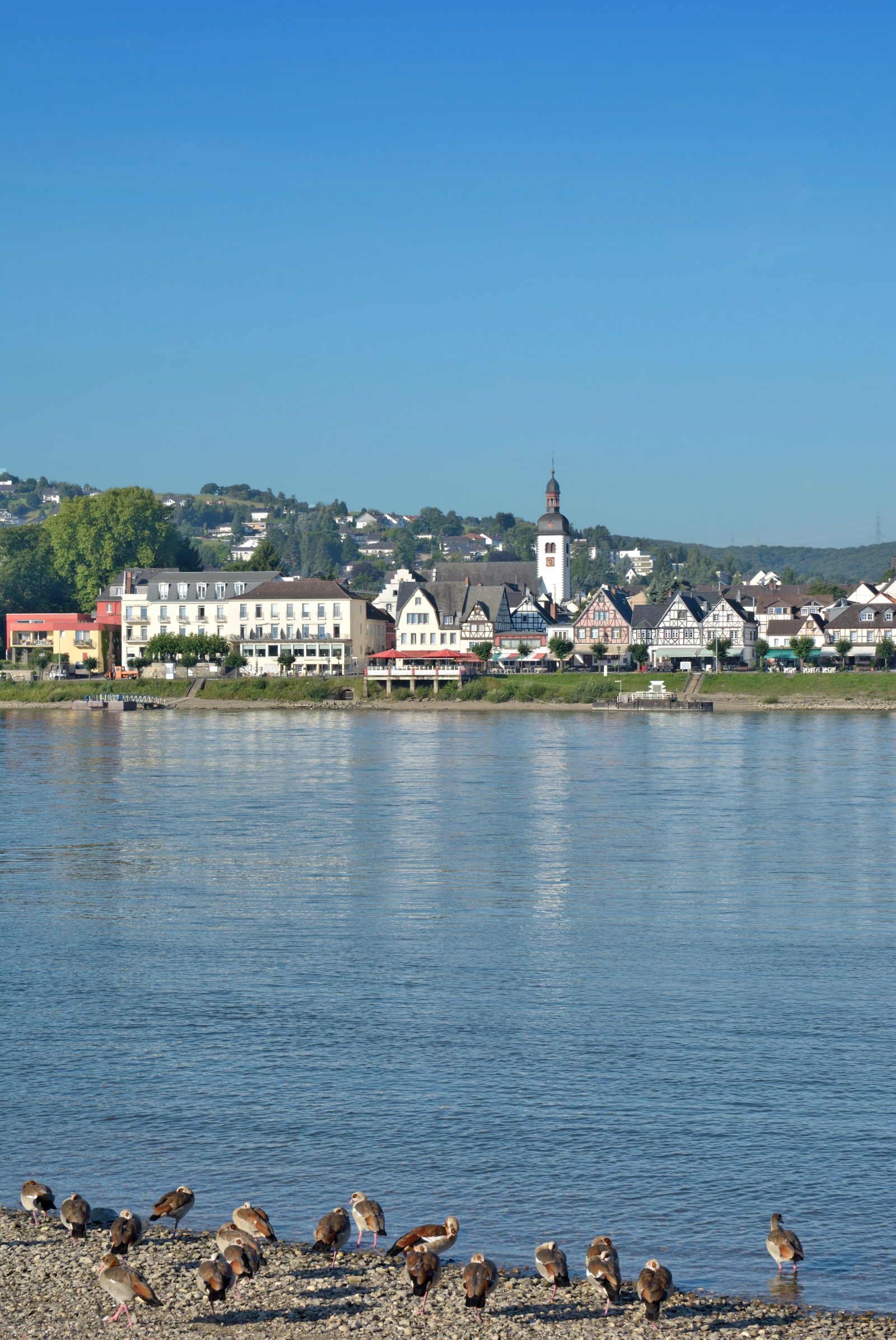 Bild von Sinzig